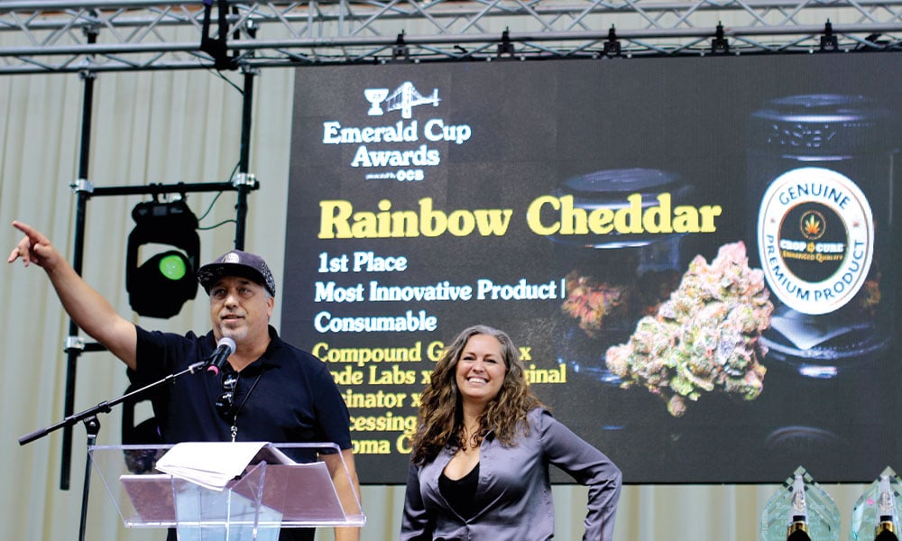 Emerald Cup 2023 award-winning live dried Perzimmon #2 flower