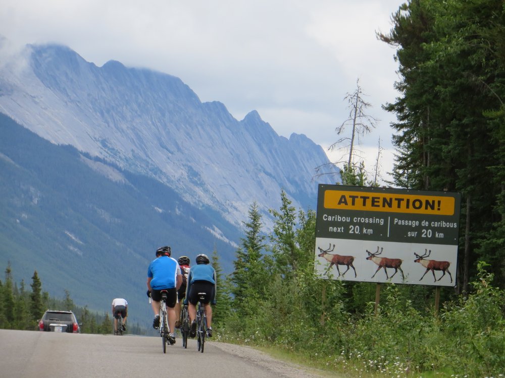 We'll share the road with local wildlife
