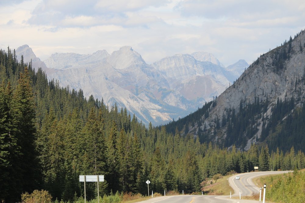 Don't forget to look behind you occasionally to see where you've come from, Highwood Pass