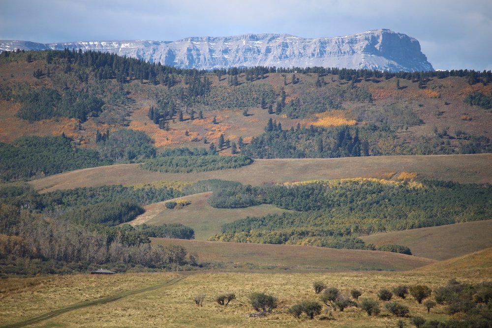 The scenery continues as we transition out of the mountains and into the rolling ranch lands near Longview