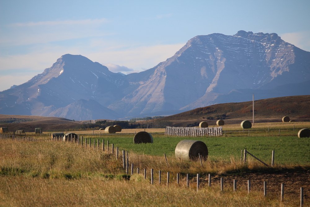 We ride into the mountains again as we approach Waterton National Park