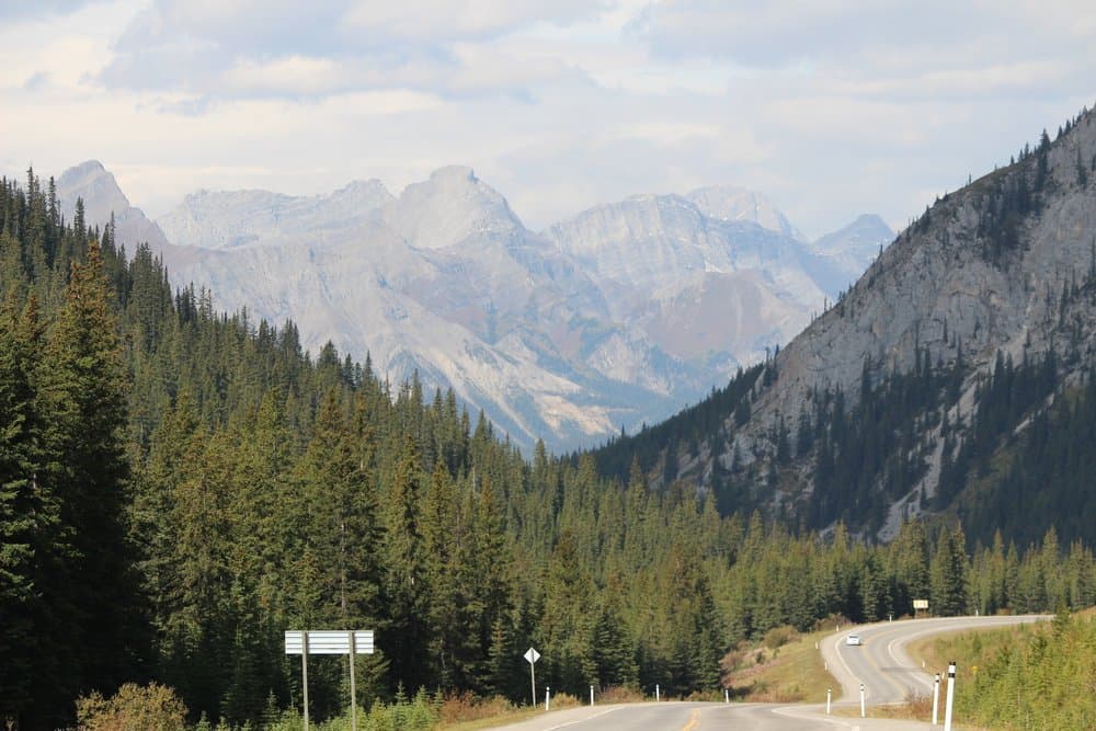 The road toward Highwood Pass winding through forest below grey limestone peaks