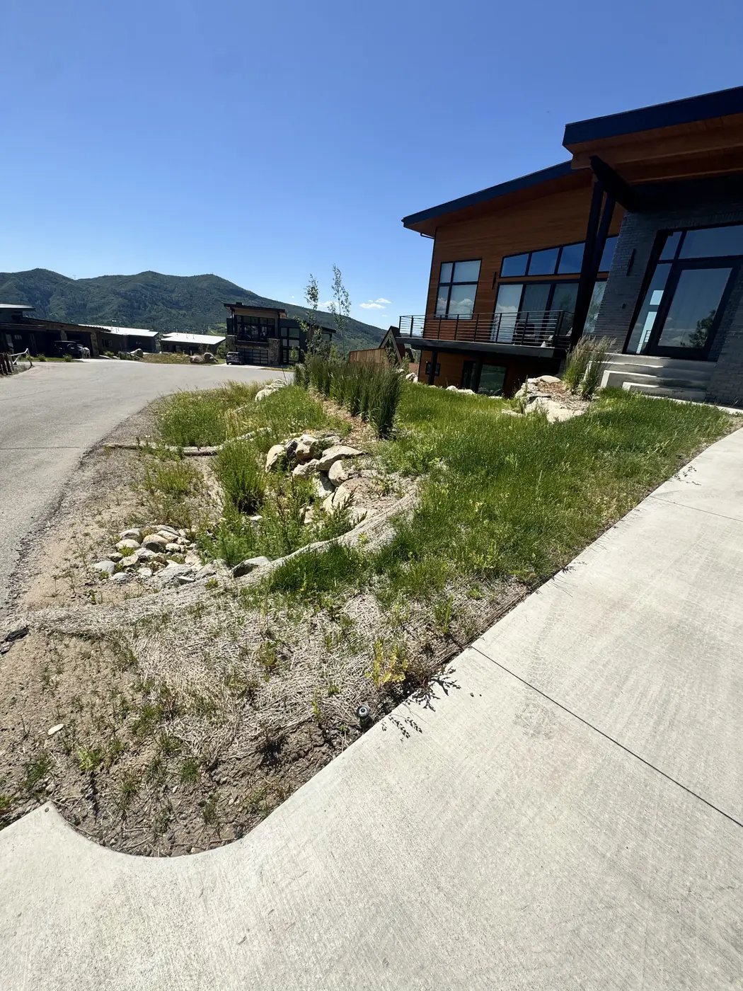 Modern Steamboat home with native landscaping along a new driveway