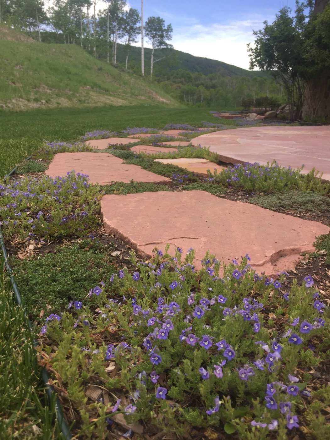 Irrigation and sod work on a residential property by Hill's Lawn & Landscape