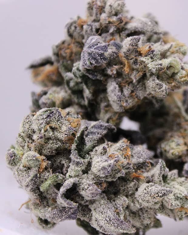 Gelato Cake