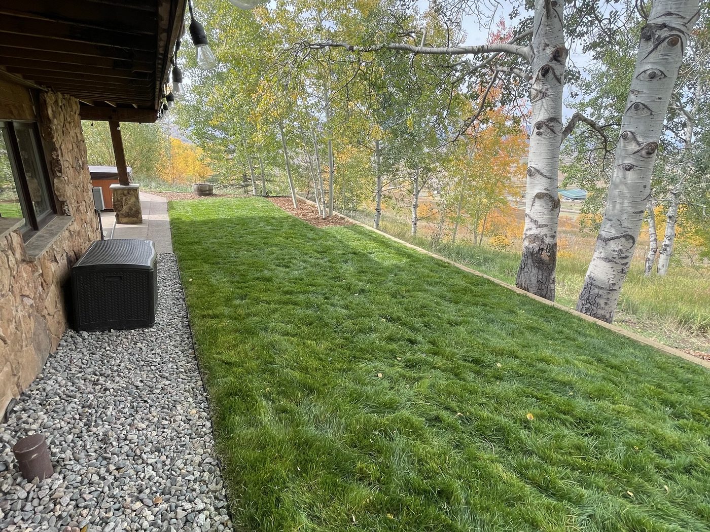 A lush green lawn and landscaped yard at a Steamboat Springs home by Hill's Lawn & Landscape