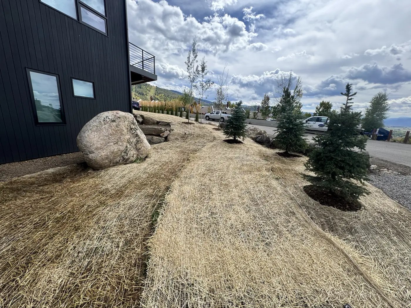 Freshly seeded lawn establishing at a modern mountain home