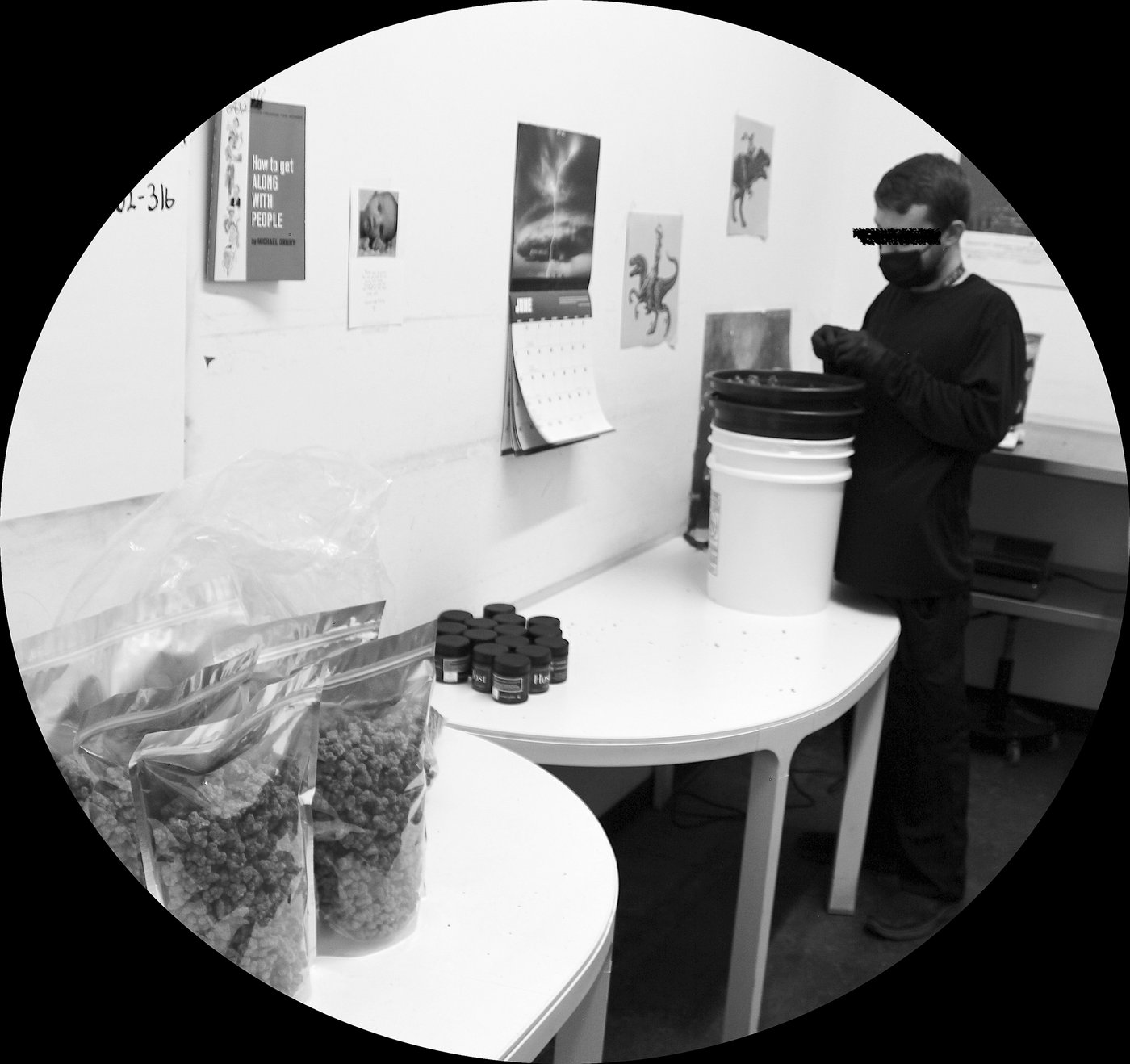 A Høst team member hand-trimming flower beside bagged harvest and branded Høst jars.