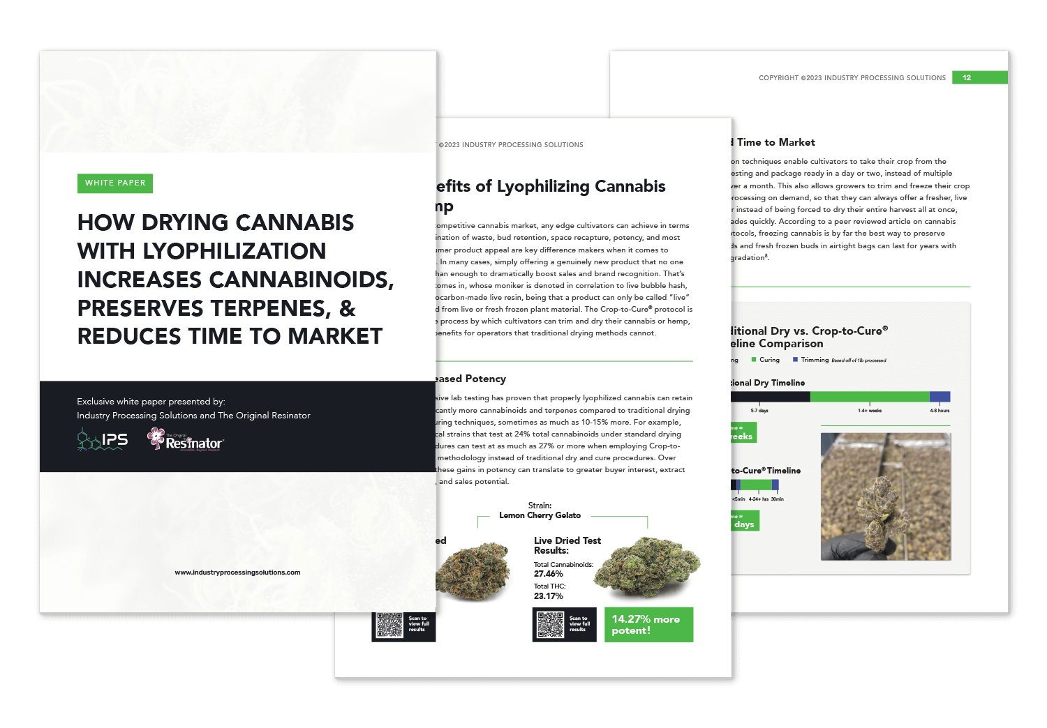 Industry Processing Solutions lyophilization whitepaper