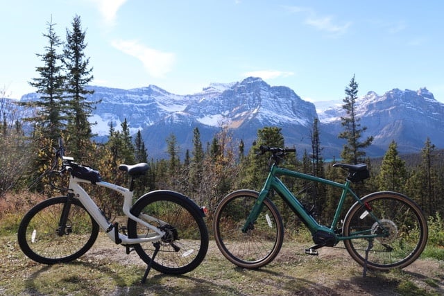 Pedal-assist e-bike