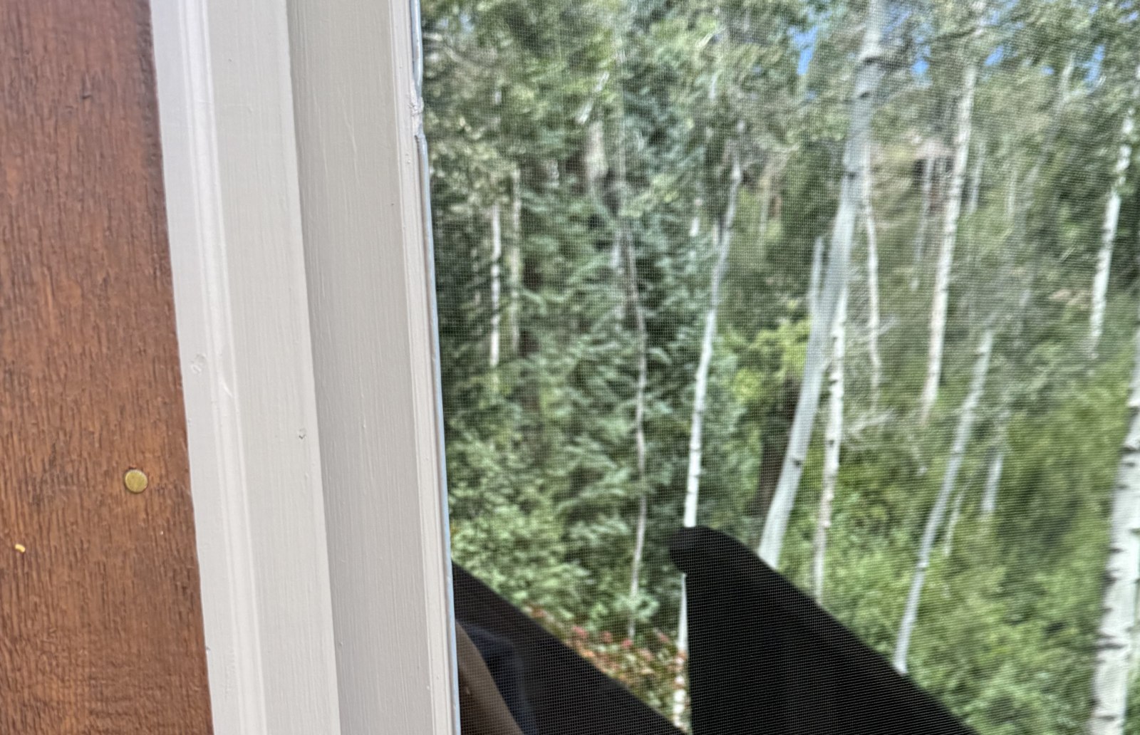 Exterior Glass, Streak-free finish