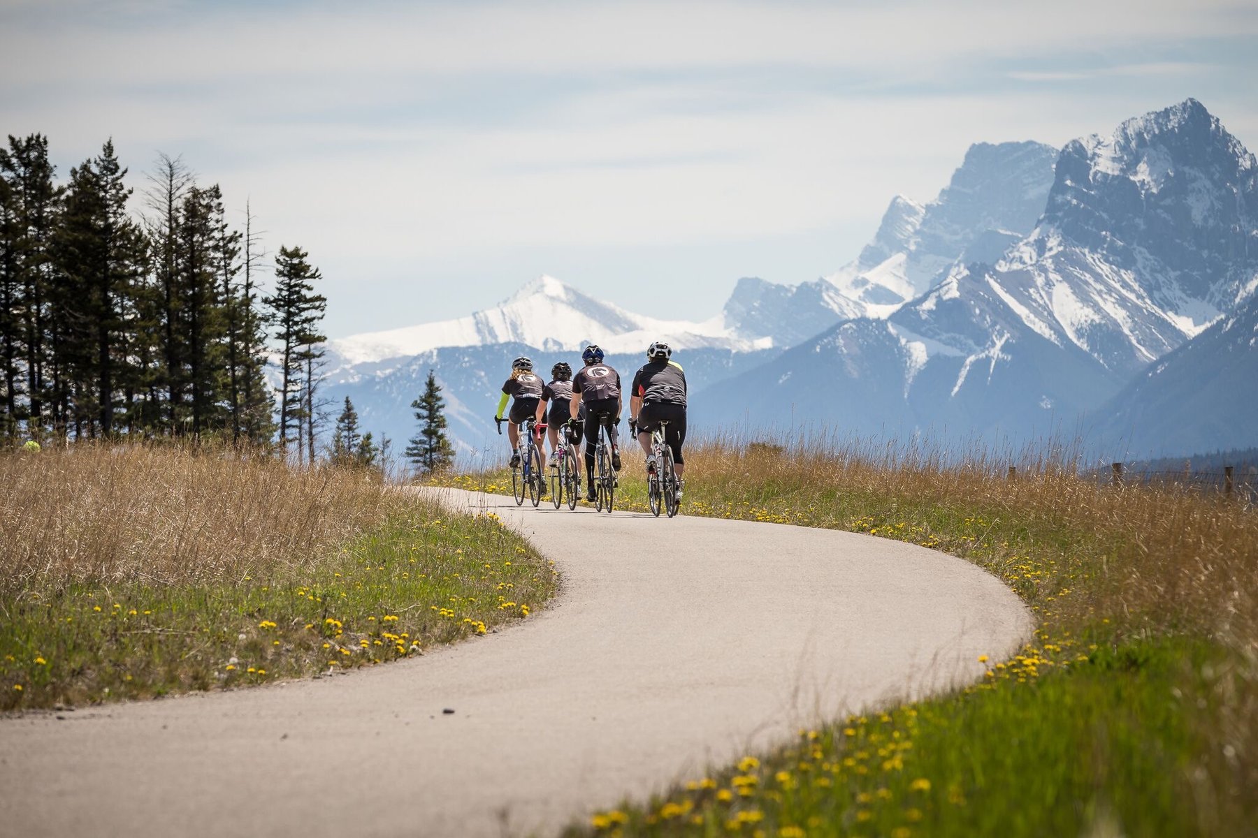 Enjoy riding on some traffic-free bike paths during the tour