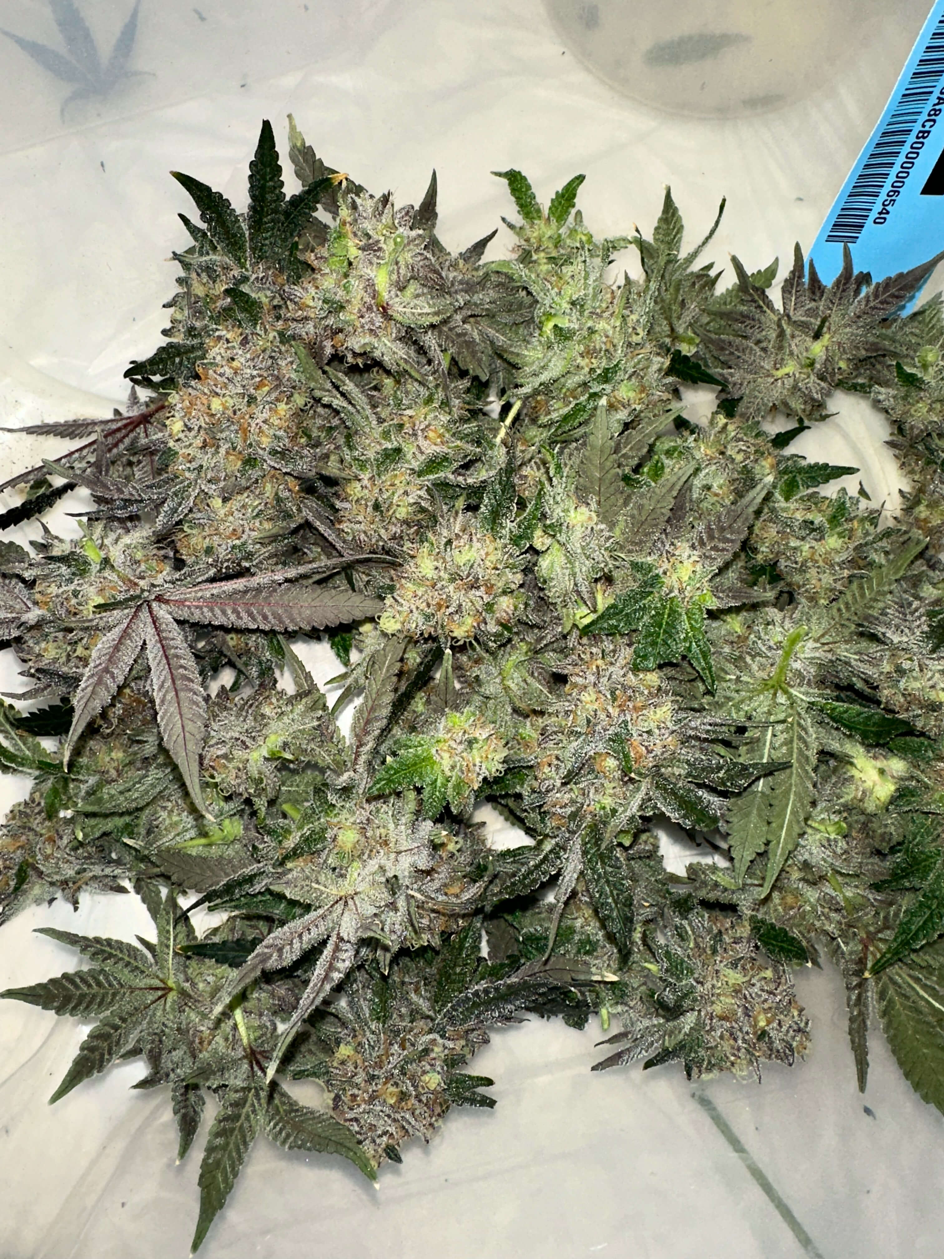 Bucking & Big Leafing