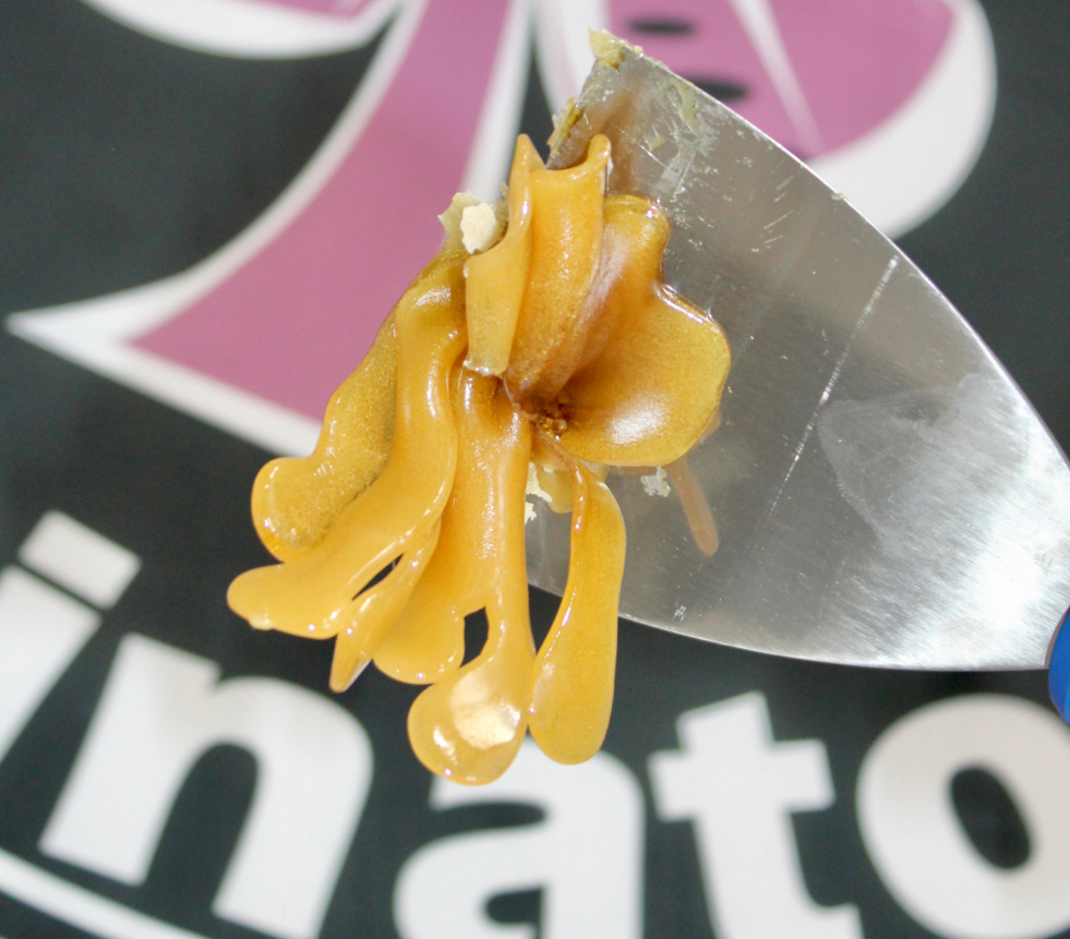 Solventless Extracts and Concentrates